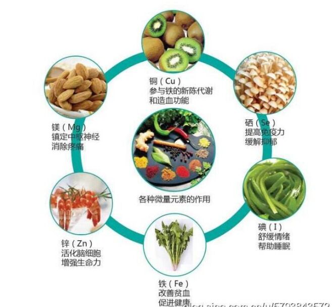 全自动小黄鸭视频app下载分析头发检测的结果