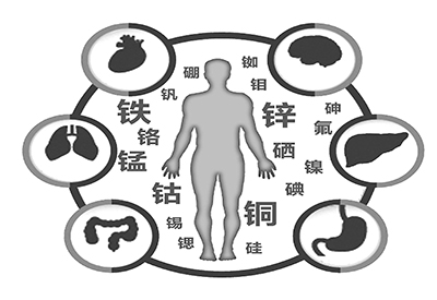 医用小黄鸭视频下载污微量元素是什么怎么补